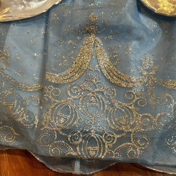 Cinderella Dress - Picture 2 of 7